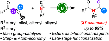 Graphical abstract: Boron Lewis acid-catalyzed formal insertion of isocyanides into a C–O bond of benzyl esters