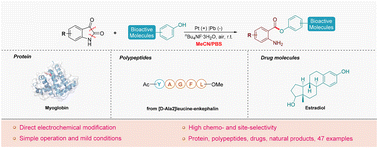 Graphical abstract: Electrochemical chemoselective hydroxyl group transformation: anthranilic acyl modification of tyrosine bioconjugations