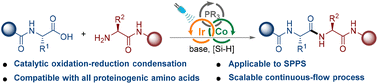 Graphical abstract: A practical approach for oligopeptide synthesis via synergistic photoredox, cobaloxime and organophosphorus triple catalysis