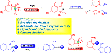 Graphical abstract: Nickel-catalyzed selective C1–C8 bond cleavage of benzocyclobutenones: theoretical insights into mechanism, substituent effects on regioselectivity, ligand effects on reactivity, and chemoselectivity