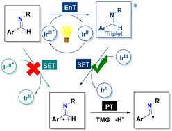 Graphical abstract: Mechanism of photocatalyzed imine conversion: a relay process of sequential energy transfer, single electron transfer and proton transfer