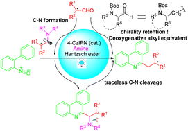 Graphical abstract: A photocatalytic traceless C–N bond formation/cleavage strategy enabling the use of (α-chiral) alkyl aldehydes as deoxygenative (chiral) alkyl radical equivalents