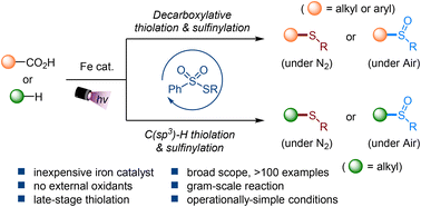 Graphical abstract: An iron-catalyzed C–S bond-forming reaction of carboxylic acids and hydrocarbons via photo-induced ligand to metal charge transfer