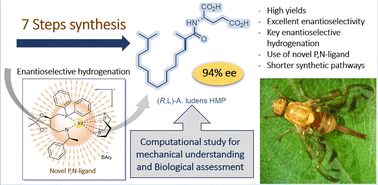 Graphical abstract: New synthetic pathways to the Anastrepha ludens host marking pheromone: harnessing iridium-catalysis with novel P,N-ligand for enantioselective construction