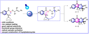 Graphical abstract: Intramolecular cascade cyclization via photogenerated N-amidyl radicals toward isoindolin-1-one/3,4-dihydroisoquinolin-1(2H)-one fused oxazinane