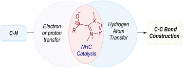 Graphical abstract: Direct coupling of inert C–H bonds in NHC organocatalysis