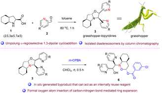 Graphical abstract: Umpolung α-regioselective 1,3-dipolar cycloaddition and internal recycle of byproduct as two key strategies: access to diverse chiral bipyridines