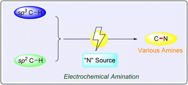 Graphical abstract: Recent advances in electrochemical C–H bond amination
