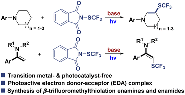 Graphical abstract: Visible-light-induced dehydrogenative β-trifluoromethylthiolation of tertiary amines and direct β-trifluoromethylthiolation of enamides
