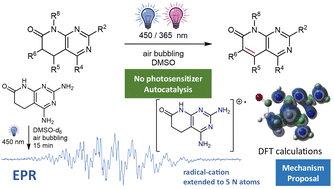 Graphical abstract: Autocatalytic photoinduced oxidative dehydrogenation of pyrido[2,3-d]pyrimidin-7(8H)-ones: synthesis of C5–C6 unsaturated systems with concomitant formation of a long-lived radical