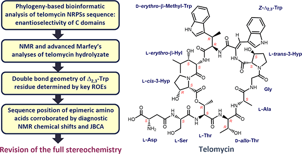 Graphical abstract: Revision of the full stereochemistry of telomycin
