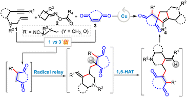 Graphical abstract: Copper-catalyzed 1,2,2-trifunctionalization of maleimides with 1,7-enynes and oxime esters via radical relay/1,5-hydrogen-atom transfer