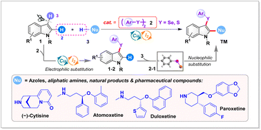 Graphical abstract: Organo-catalyzed C2,3–H aminochalcogenation of indoles with secondary (aliphatic) amines