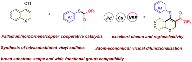 Graphical abstract: Palladium/norbornene/copper-catalysed intermolecular thio-esterification from ketones: modular access towards tetrasubstituted vinyl sulfides
