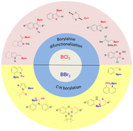 Graphical abstract: BX3-mediated borylation for the synthesis of organoboron compounds