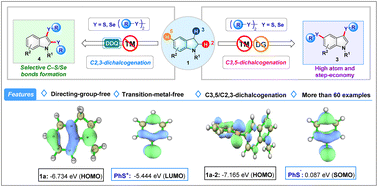 Graphical abstract: Directing-group-free strategy for the iodine-mediated regioselective dichalcogenation of indolines: understanding the full catalytic cycles