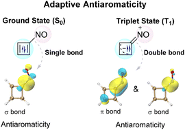 Graphical abstract: NO-induced adaptive antiaromaticity in cyclobutadiene
