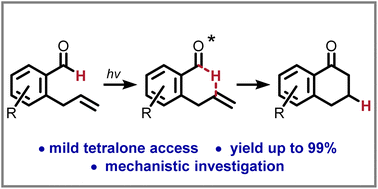Graphical abstract: Photo-hydroacylation: 1-tetralones from ortho-allylbenzaldehydes