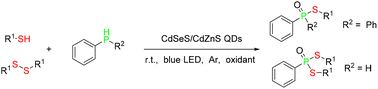 Graphical abstract: Photocatalytic formation of P–S bonds via CdSeS/CdZnS quantum dots under visible light irradiation