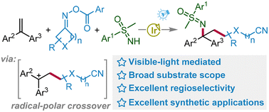 Graphical abstract: Photoredox-catalyzed difunctionalization of alkenes with oxime esters and NH-sulfoximines