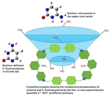 Graphical abstract: A box-in-box supramolecular assembly for the highly selective recognition of natural, epigenetically and chemically modified cytosines in water