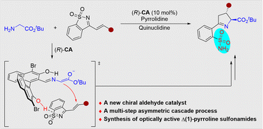 Graphical abstract: Stereoselective synthesis of Δ(1)-pyrroline sulfonamides via a chiral aldehyde mediated cascade reaction