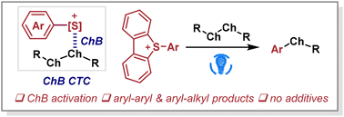 Graphical abstract: Chalcogen bonding enabled photosynthesis of aryl selenides from aryl sulfonium salts