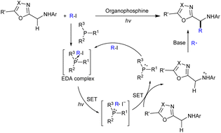 Graphical abstract: Visible-light-driven C(sp3)–H alkylation of heterobenzylic amines via electron donor–acceptor complexes