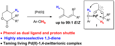 Graphical abstract: Phenol-mediated decarboxylative proton transfer of γ-methylidene-δ-valerolactones: an approach towards (E)-2,4-pentadienoates