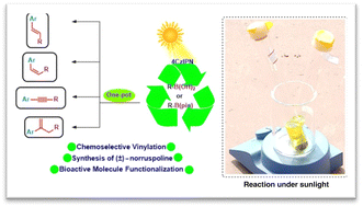Graphical abstract: Photoredox Suzuki coupling using alkyl boronic acids and esters