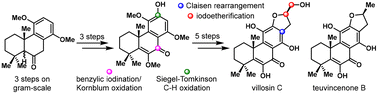 Graphical abstract: Total synthesis of (±)-villosin C and (±)-teuvincenone B