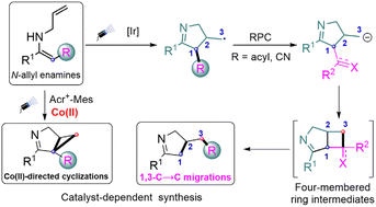 Graphical abstract: Radical-triggered base-free 1,3-C → C migrations: chemodivergent synthesis of cyclic imines from N-allyl enamines