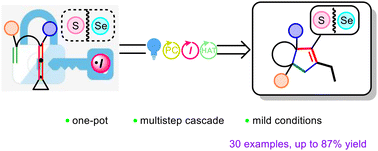 Graphical abstract: Iodine radical mediated cascade [3 + 2] carbocyclization of ene-vinylidenecyclopropanes with thiols and selenols via photoredox catalysis