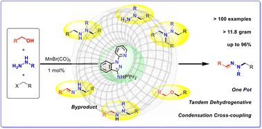 Graphical abstract: Formation of ylidenehydrazines enabled by manganese-catalyzed acceptorless dehydrogenative coupling