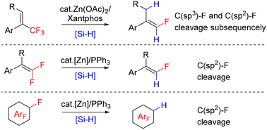 Graphical abstract: Stereoselective hydrodefluorination of CF3-substituted alkenes and gem-difluoroalkenes by H−