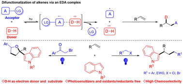 Graphical abstract: Photo-induced 1,2-alkylarylation/cyclization of alkenes, alkyl halides and N-alkylindoles via an EDA-complex