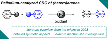 Graphical abstract: Palladium-catalyzed cross-dehydrogenative coupling of (hetero)arenes