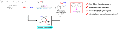 Graphical abstract: Palladium-catalyzed thiocarbonylation of alkenes toward branched thioesters using CO2