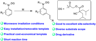 Graphical abstract: Palladium catalyzed remote-meta-C–H functionalization of aniline scaffolds