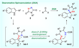 Graphical abstract: Dearomative spiroannulation of indoles enabled by the diaza-[1,2]-Wittig rearrangement
