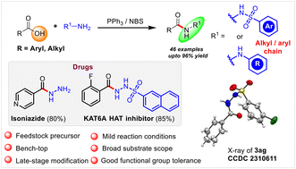 Graphical abstract: Direct access to hydrazides and amides from carboxylic acids via acyloxyphosphonium ion