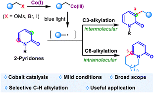 Graphical abstract: Photoinduced cobalt catalyzed site selective alkylation of 2-pyridones