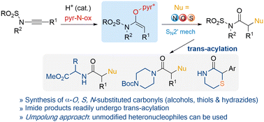 Graphical abstract: Synthesis of α-heterofunctionalized carbonyl compounds via Brønsted acid-catalyzed oxygenative coupling of ynamides