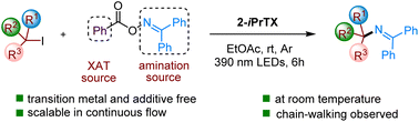 Graphical abstract: Photoinduced amination of iodoalkanes enabled by bifunctional O-benzoyl oxime