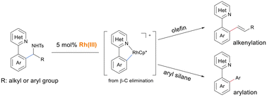 Graphical abstract: Rhodium-catalyzed C–C bond alkenylation and arylation of α-branched N-sulfonyl amines