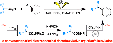 Graphical abstract: A convergent paired electrochemical strategy for decarboxylative C(sp2)–C(sp3) bond formation