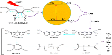 Graphical abstract: Regulation and photocatalytic degradation mechanism of a hydroxyl modified UiO-66 type metal organic framework