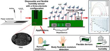 Graphical abstract: Fabrication and characterization of a flexible and disposable impedance-type humidity sensor based on polyaniline (PAni)