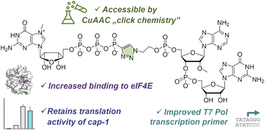 Graphical abstract: Towards superior mRNA caps accessible by click chemistry: synthesis and translational properties of triazole-bearing oligonucleotide cap analogs