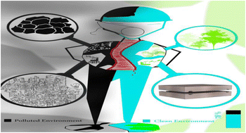 Graphical abstract: Sustainable product-based approach in the production of olefins using a dual functional ZSM-5 catalyst